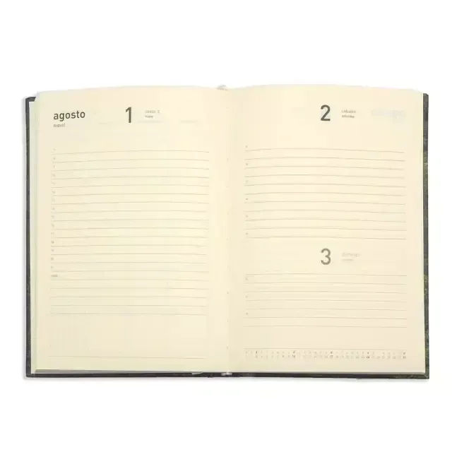 Agenda Planner 2026 Ana Luiza Diária Média Garden Rosa Teca-1767638081993