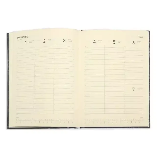 Agenda Planner 2026 Ana Luiza Semanal Média Garden Azul Teca-1767638757952