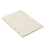 Refil Para Caderno Criativo Argolado 40 Folhas Pólen 80g 17x24cm Cicero-1771941396585