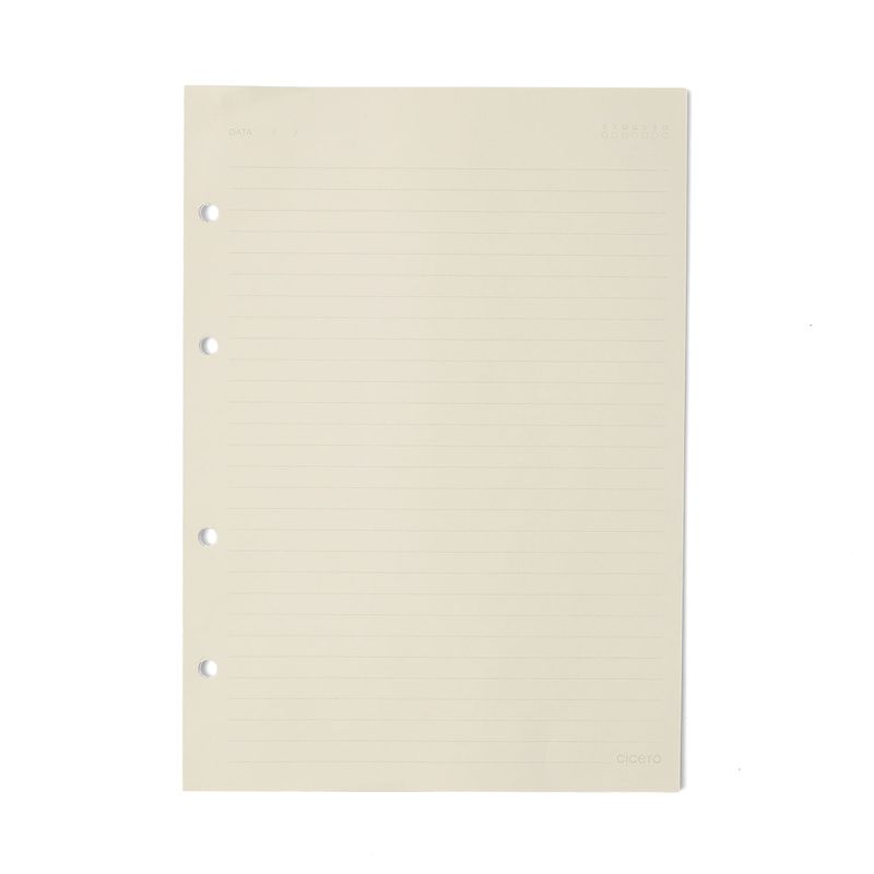 Caderno Criativo Argolado Melissa Pautado 17x24cm Casinha das Abelhas Cicero-1771951113488