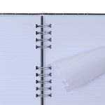 Caderno Organizador Quintal Literário Pautado + Pontado 17x24cm Dia Cicero-1772027668475