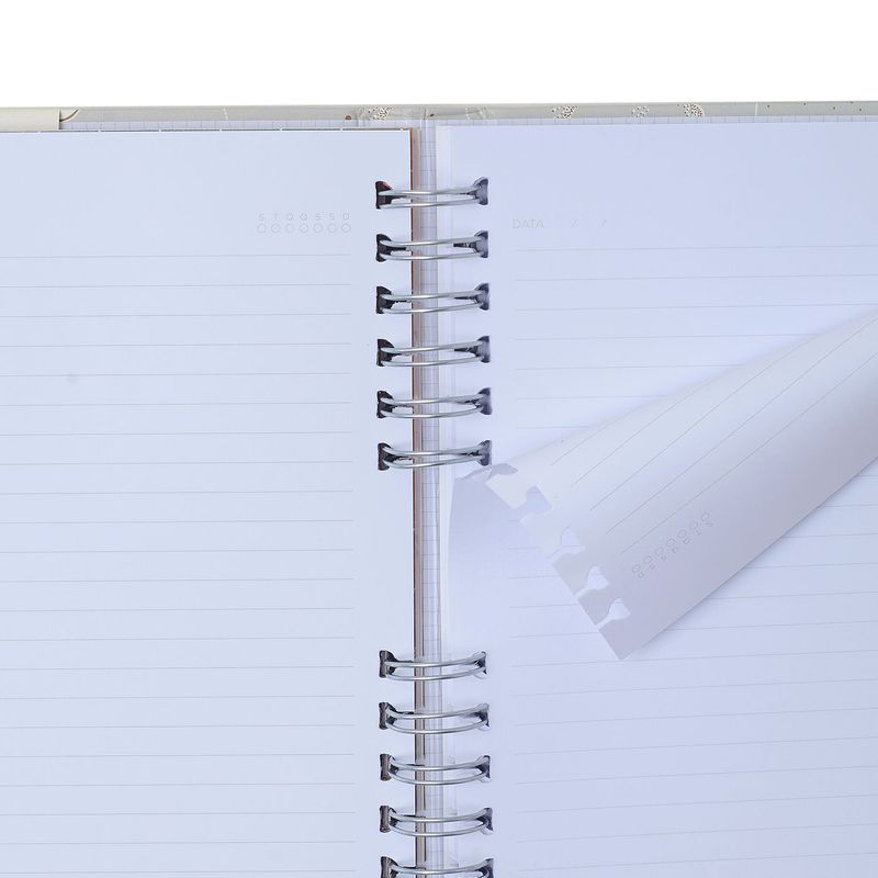 Caderno Organizador A5 Frutare Pautado e Pontado Limão Siciliano Cicero-1772028637951