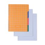 Caderno Organizador A5 Frutare Pautado e Pontado Limão Siciliano Cicero-1772028687727