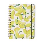 Caderno Espiral Colegial 17x24cm Frutare Pautado Limão Siciliano Cicero-1772029903657