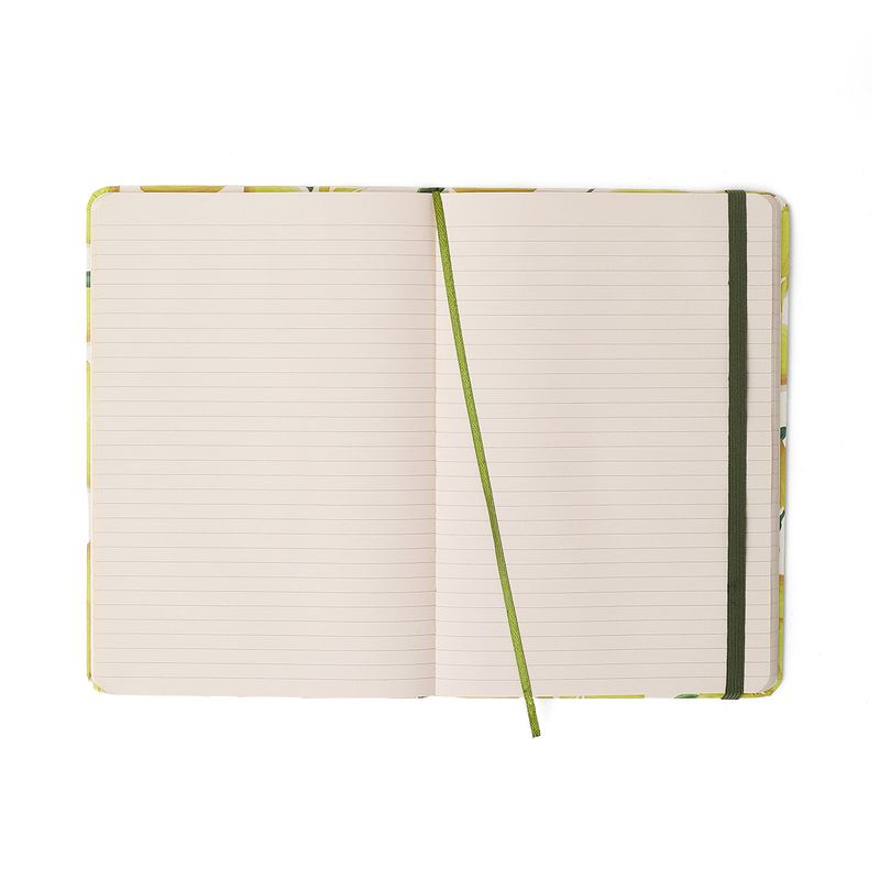 Caderneta Frutare Pautado 14x21cm Limão Siciliano Cicero-1772044264405