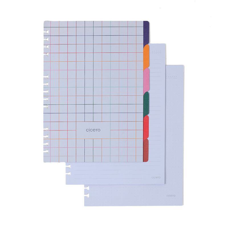 Caderno Organizador Petit Pautado e Pontado 17x24cm Passeio Cicero-1789581548236